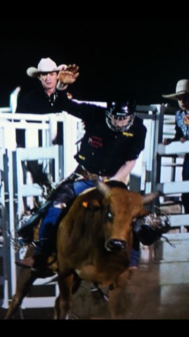 Bull Riding